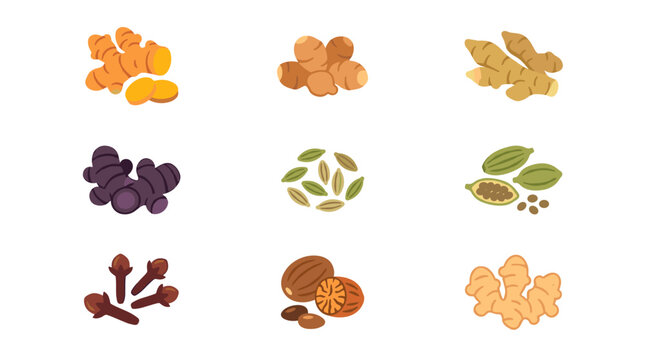 Flat color vector icons set of Indonesian herbal apothecary and jamu spices, including temulawak, kencur, bangle, ginger, cloves, cardamom, nutmeg, 3x3 grid