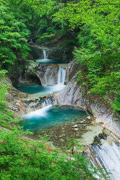 山梨_新緑と七ツ釜五段の滝の風景