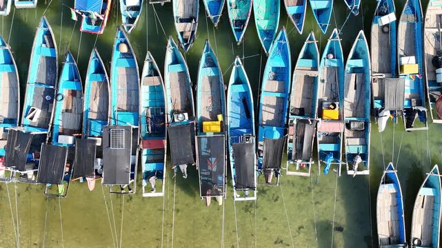 Top-down aerial footage of traditional blue wooden fishing boats neatly moored side-by-side along ropes in shallow.
