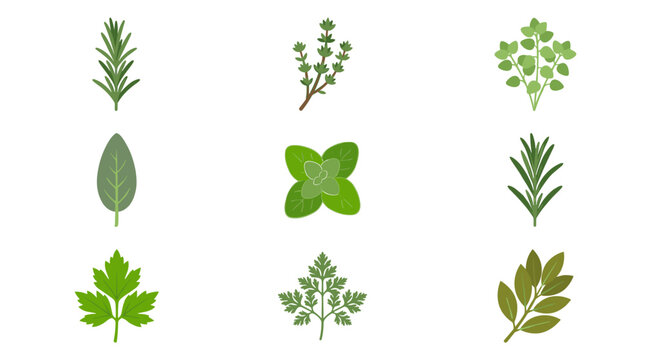Pixel art collection of nine cooking herbs in a 3x3 grid including rosemary, thyme, oregano, sage, marjoram, savory, lovage, chervil, and bay leaf, flat color vector icons