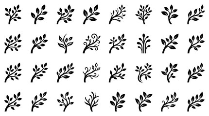 Fototapeta premium A collection of various black leafy branches on a white background in an illustration