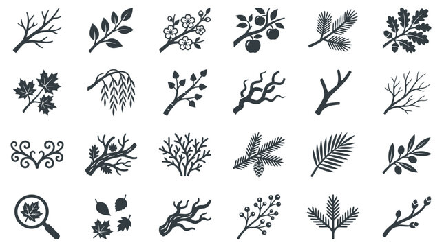 A collection of various botanical illustrations featuring diverse leafy plants and flowers in a bucket bunga setting.