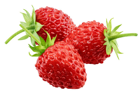 wild Strawberry isolated, full depth of field