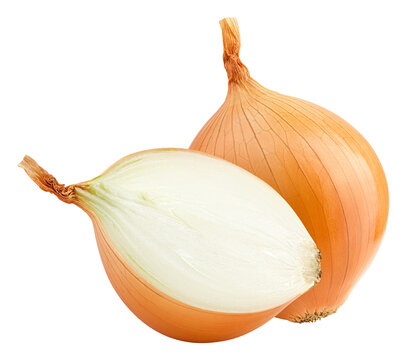 Onion, isolated, full depth of field