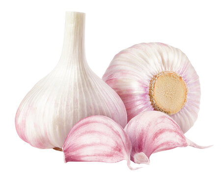 Garlic, isolated, full depth of field