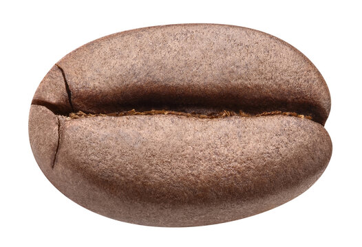 Single roasted coffee bean in extreme macro view, isolated on transparent cutout background
