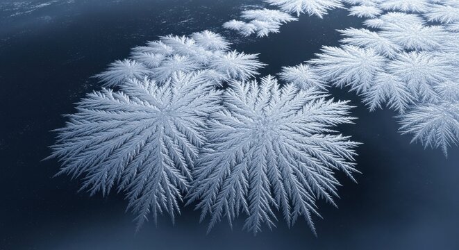 Intricate Ice Crystals Forming on a Frozen Surface