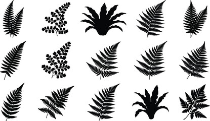 Collection of black fern leaf silhouettes and plant shapes on white background © GT Designs