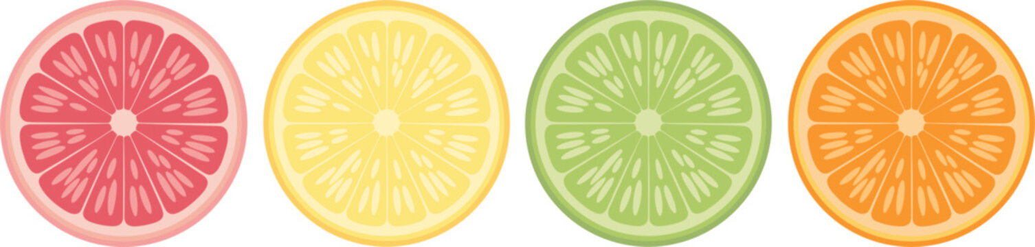 Fresh citrus fruit round slice vector set featuring realistic pulp texture of pink grapefruit yellow lemon green lime and orange for summer beverage design