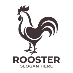 Rooster standing proudly in front of blank background © MDZOSHEWER