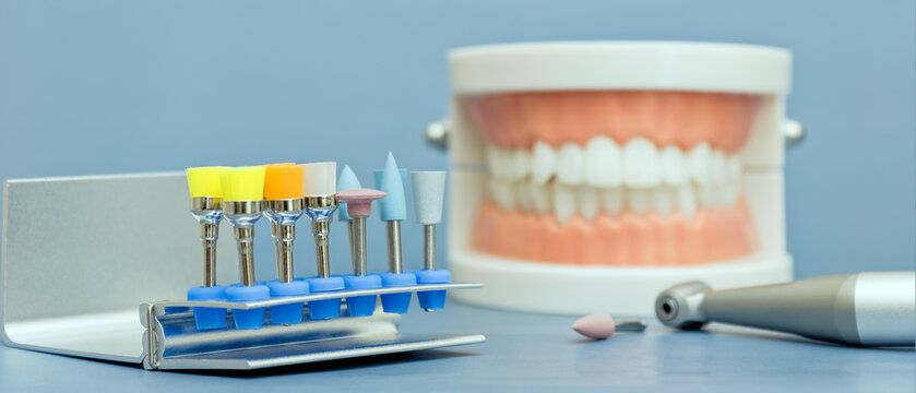 Set of colorful dental polishing brushes and silicone burs in metal stand. Blurred jaw model and handpiece in background. Dental hygiene concept.
