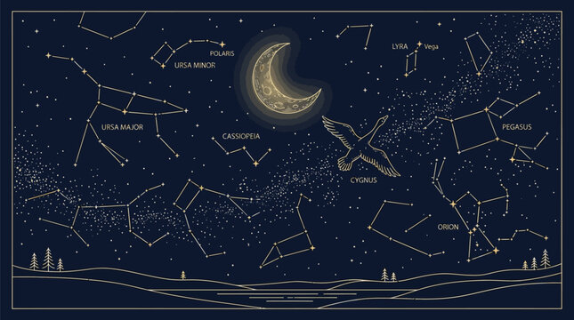 Golden constellations and stars shine brightly in the night sky with a crescent moon and a flying swan under a beautiful dark blue evening sky with trees.