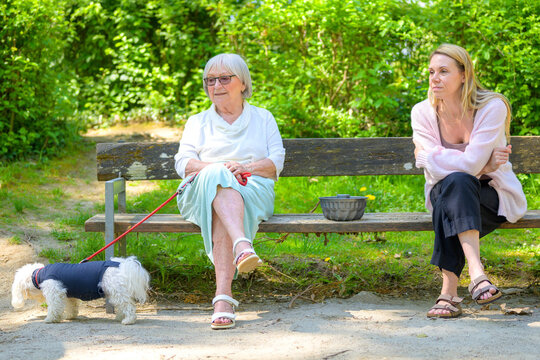 Senior Woman Relaxing Park Bench