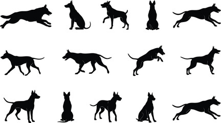 Black silhouettes of various animals walking in a row  © MSTHUSNEWARA