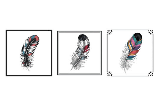 Colorful feather illustrations, feather frames, decorative borders, vector graphics