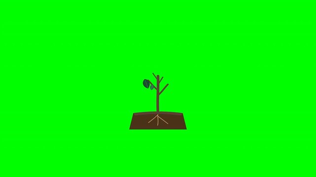 Seed and tree concept for green energy
