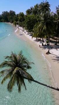 Discover the stunning beauty of Koh Kood, Thailand, where lush palm trees and inviting turquoise waters create an ideal setting for relaxation and adventure.