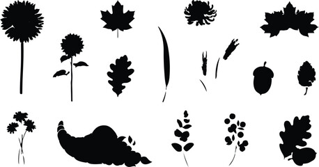 Black silhouette icons of various autumn plants and flowers © ALO