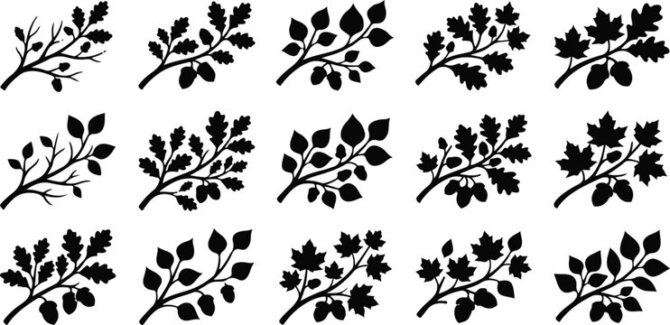 Thanksgiving fall branch silhouettes collection vector graphics