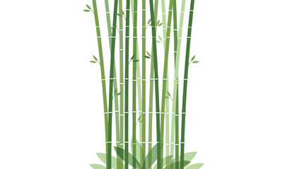 Obraz premium Green bamboo stalks and leaves growing vertically, isolated on a clean white background for creative design usage.