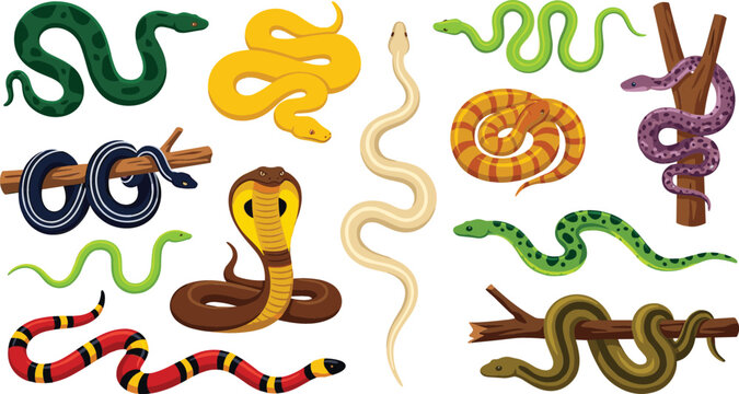 Colorful snakes vector set featuring various tropical reptiles dangerous cobra python viper slithering on branches wildlife jungle concept isolated on white background