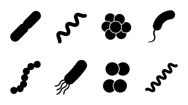 Diverse Microbe Shapes Vector Icons: Bacteria, Cocci, Spirilla, Bacilli Forms