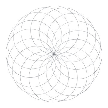 sacred geometry mandala pattern. flower of life circle design. overlapping circles line art. spiritual geometric vector transparent background
