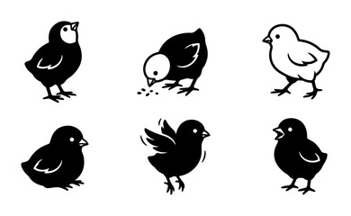 Cute Chick Icons Set, Simple Black and White Baby Bird Vector Graphics, Adorable Poultry Illustrations for Spring and Easter Themes © Galib