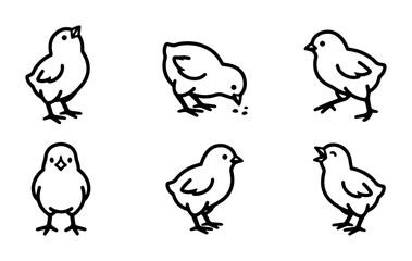 Cute Chick Icons, Simple Line Art Baby Birds, Vector Set for Spring and Easter Themes © Nayem
