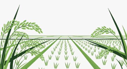 Emerging Wheat Fields in Early Growth Stage. © bagu