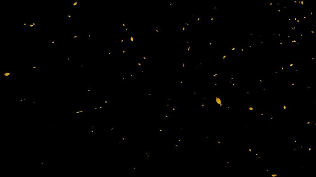 大量のひまわりの花びらが降り注ぐ華やかなループアニメーション
