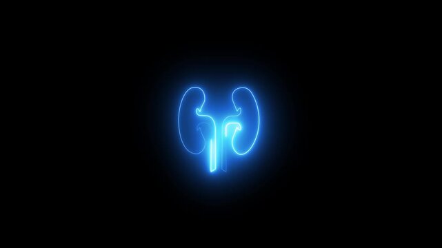 Glowing neon human kidneys icon animation on black background.