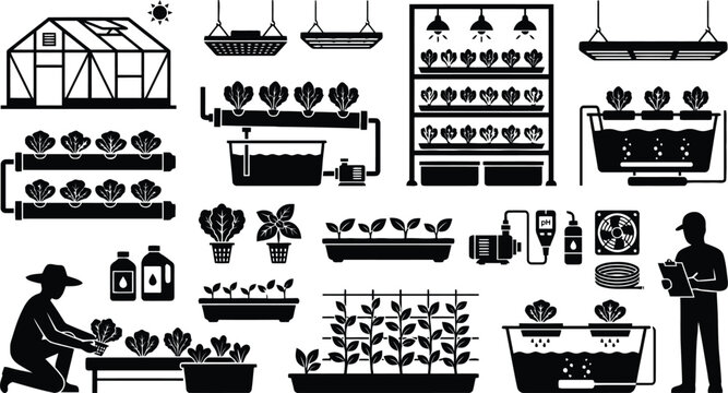 Gardener tending to indoor and hydroponic plants