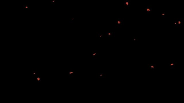 少量の赤いもみじがそっと舞うミニマルな秋の背景ループ
