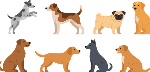 Obraz premium Set of Different Dog Breeds Standing Sitting and Running Including Pug Labrador Terrier and Puppy Flat Vector Illustration Animal Character Collection
