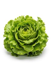 Fototapeta premium Vibrant green head of fresh lettuce with crisp, ruffled leaves and water droplets, isolated on a white background for food photography, droplets, bunch, plant