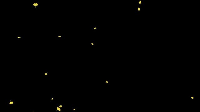 少量の黄色いイチョウが静かに舞う秋のミニマル背景ループ