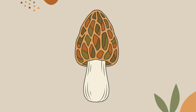 Detailed morel mushroom illustration with textured brown and green cap on a plain beige background with subtle decorative leaves.