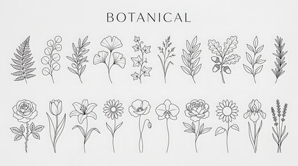 Fototapeta premium Set of botanical line hand-drawn floral and leaf on light background, line flowers