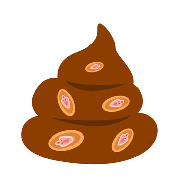 Liver fluke, Opisthorchiasis disease concept