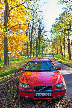Car parked by a forest road at beautiful autumn day