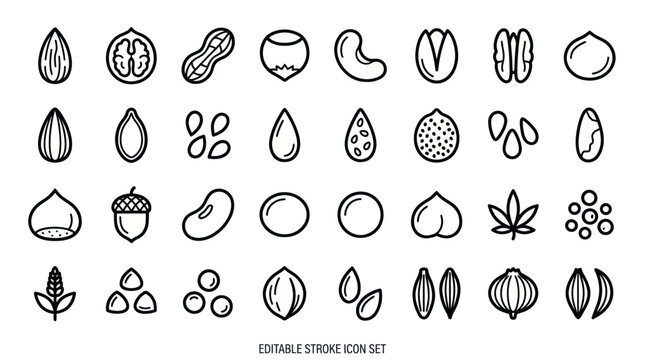 Assorted nuts and seeds botanical line icons.