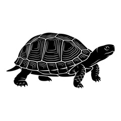 Fototapeta premium Black and white detailed tortoise vector illustration
