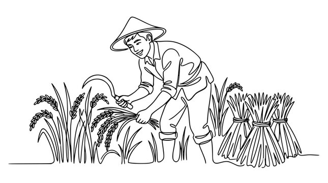 Continuous one line drawing of asian farmer harvesting rice crop with sickle tool wearing traditional conical hat vector illustration