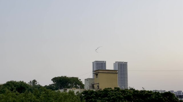 Migratory birds fling high in V shape
