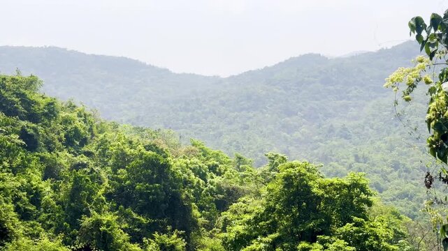 Mountains and forest of Western Ghat of Maharashtra