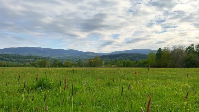 Beautiful nature scene. Beautiful landscape. Green grass in meadow, clear blue sky. High mountains on the horizon. Poland. Karkonosze. Mountain in Giant Mountains, Karkonosze, Poland.