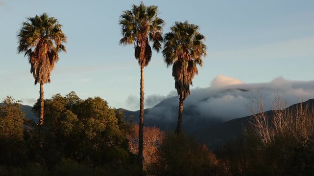 fog over Klein Mountains at sunrise, Stanford, South Africa
