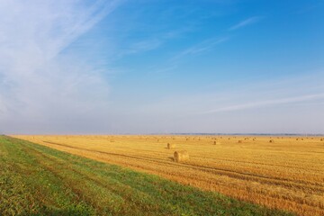 Fototapeta premium Round hay bales in golden harvested field with green grass path under blue sky, rural landscape
