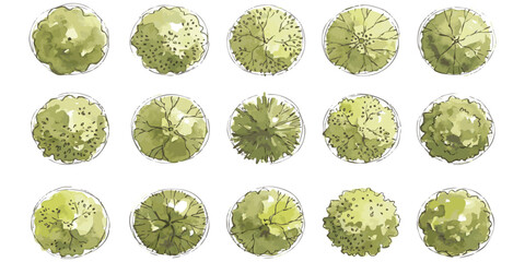 Set of fifteen green trees viewed from above for architectural landscape design plans and site map layouts © GraphixEra